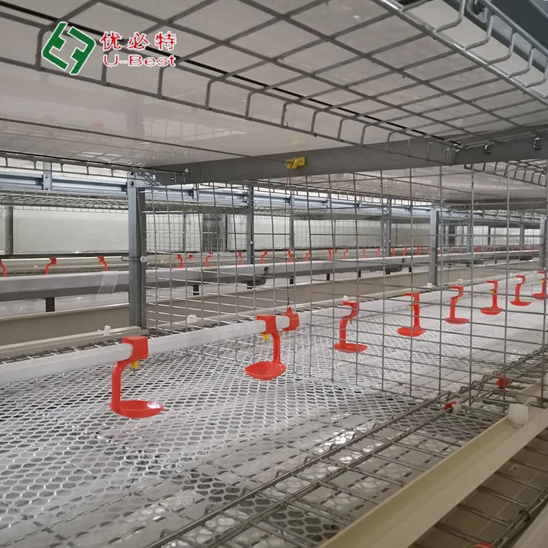 

Cheap Price Automatic Chicken Feeder Poultry Farming Equipment Chick Battery Broiler Cage for 10000