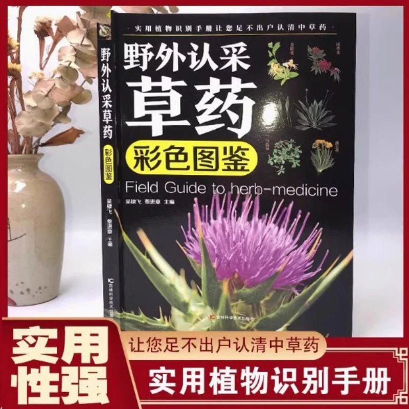 A Colorful Guide To Chinese Herbal Medicine, with Wonderful Combinations and Simple and Easy To Pick Herbs in The Wild