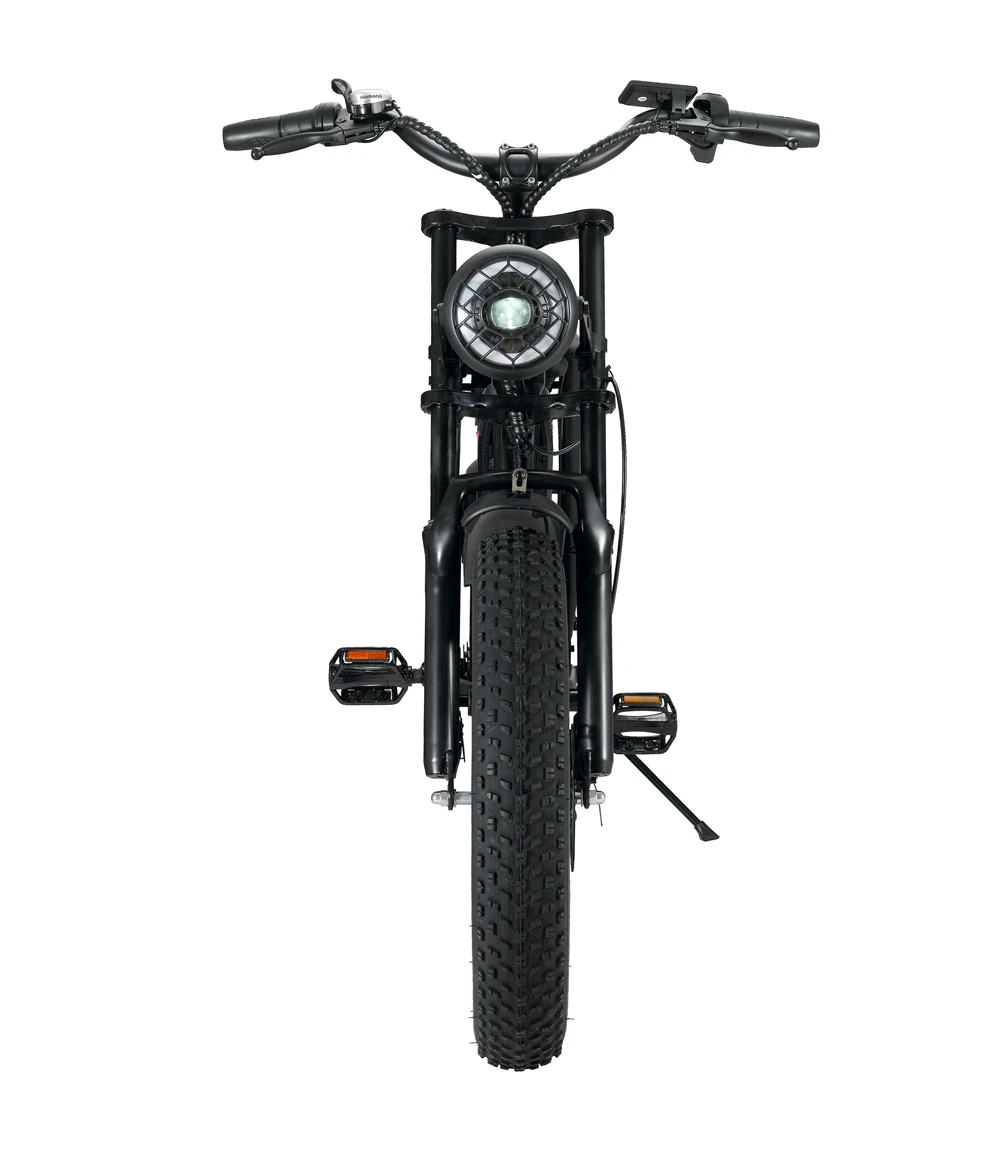 Cheap price  ebike powerful  electric bicycle fast delivery