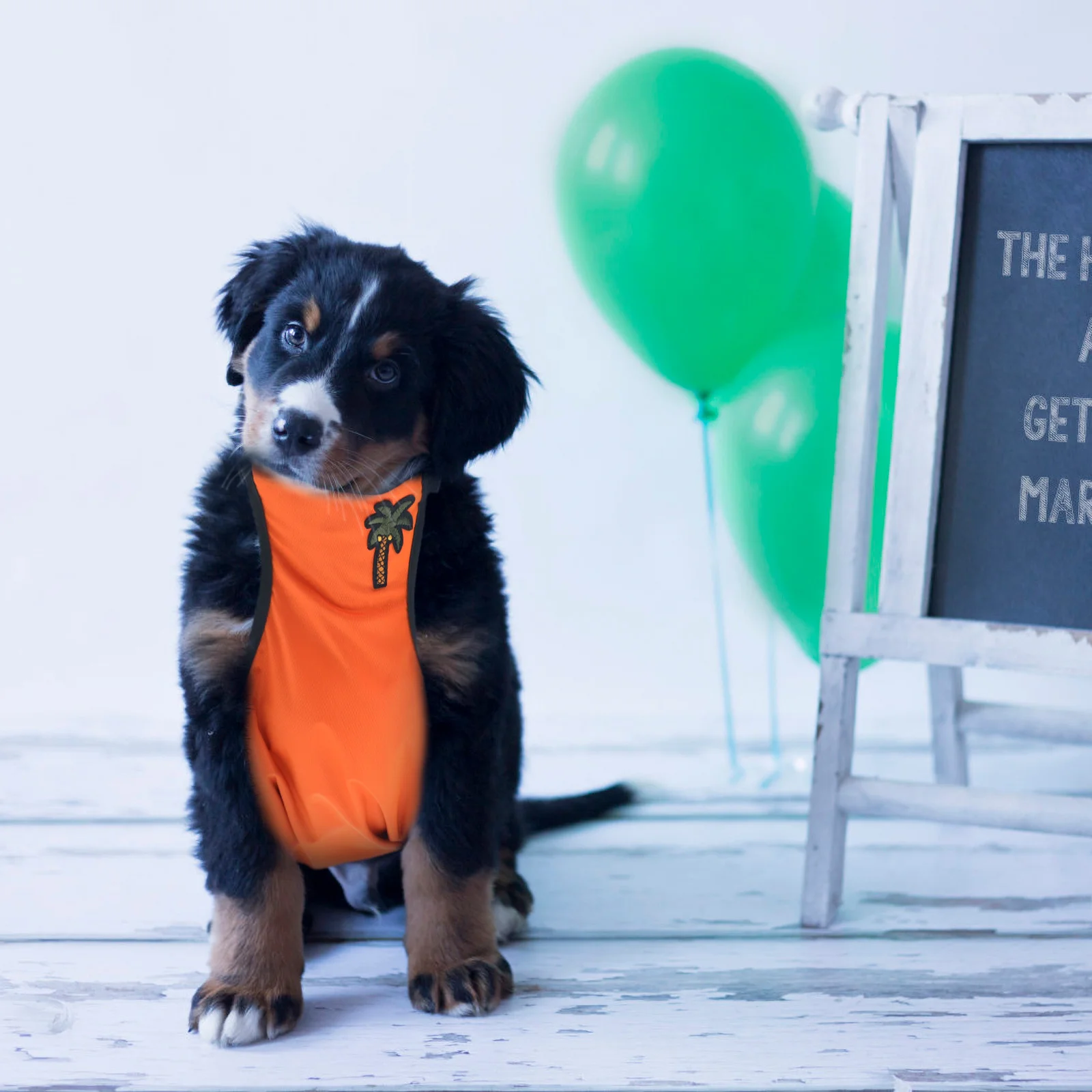 

Pet Waterproof Belly Cover Adjustable Raincoat Lightweight Orange Size L Dog Raincoat Puppy Outdoor Waterproof Rain Jacket