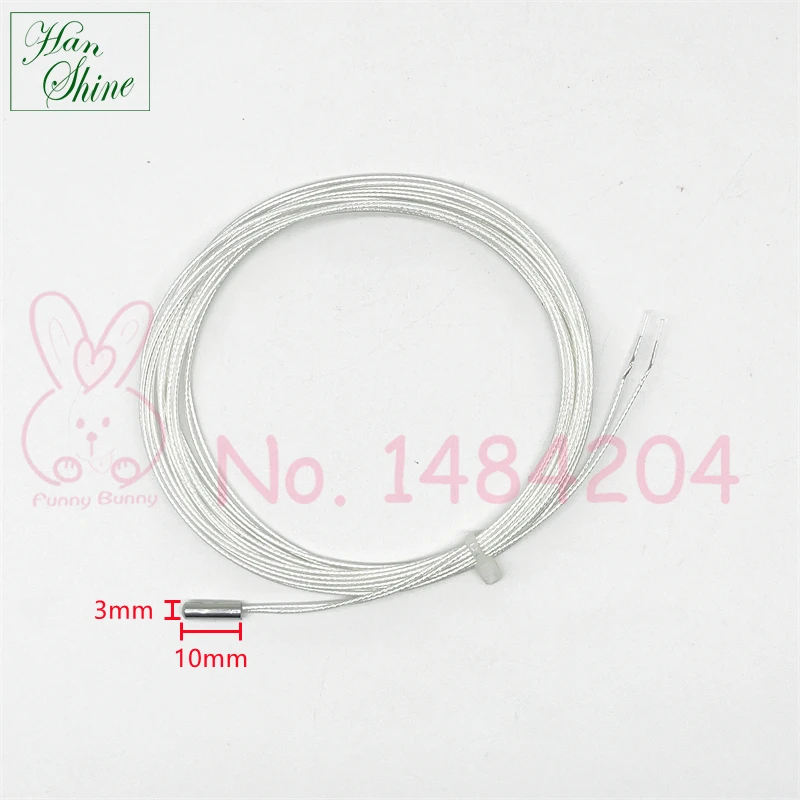 2 Wire Pt100 RTD Mini Probe 3mm * 10mm High Temperature Sensor Cable 0.5m 2m Platinum Resistance Detector