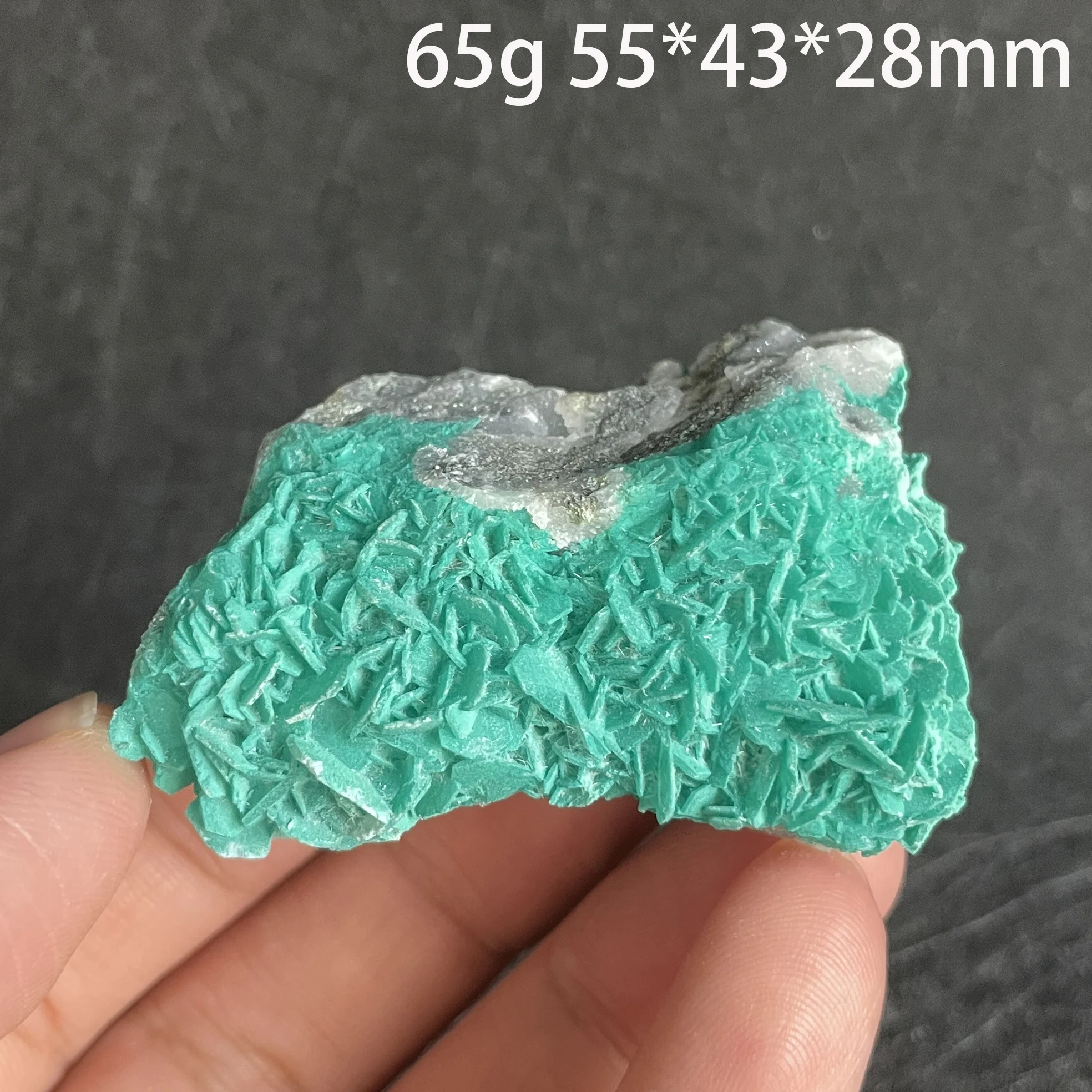 Natural Raw Stone Antlerite Mineral Specimen Quartz Crystal Healing Teaching Collection Home Decor Gift
