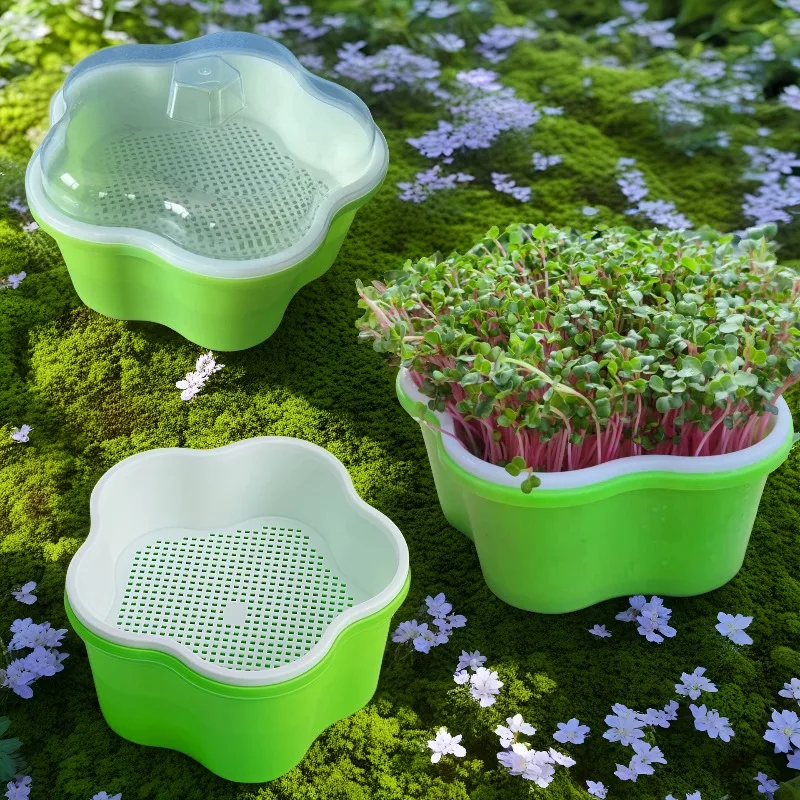 1set Seed Germination Tray With Covered Seed Mini Green Plant Wheat Seedling Box For Indoor Outdoor Gardening Accessories