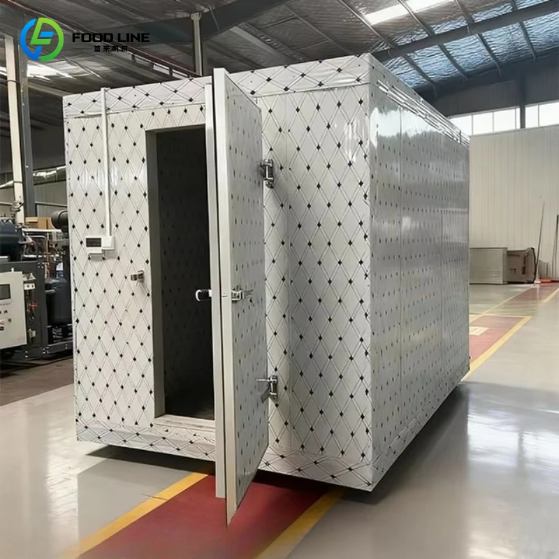 Customized Refrigerated Mobile Cold Room Storage for Fish Meat Preservation Commercial Walk-in Freezer with Invotech Compressor