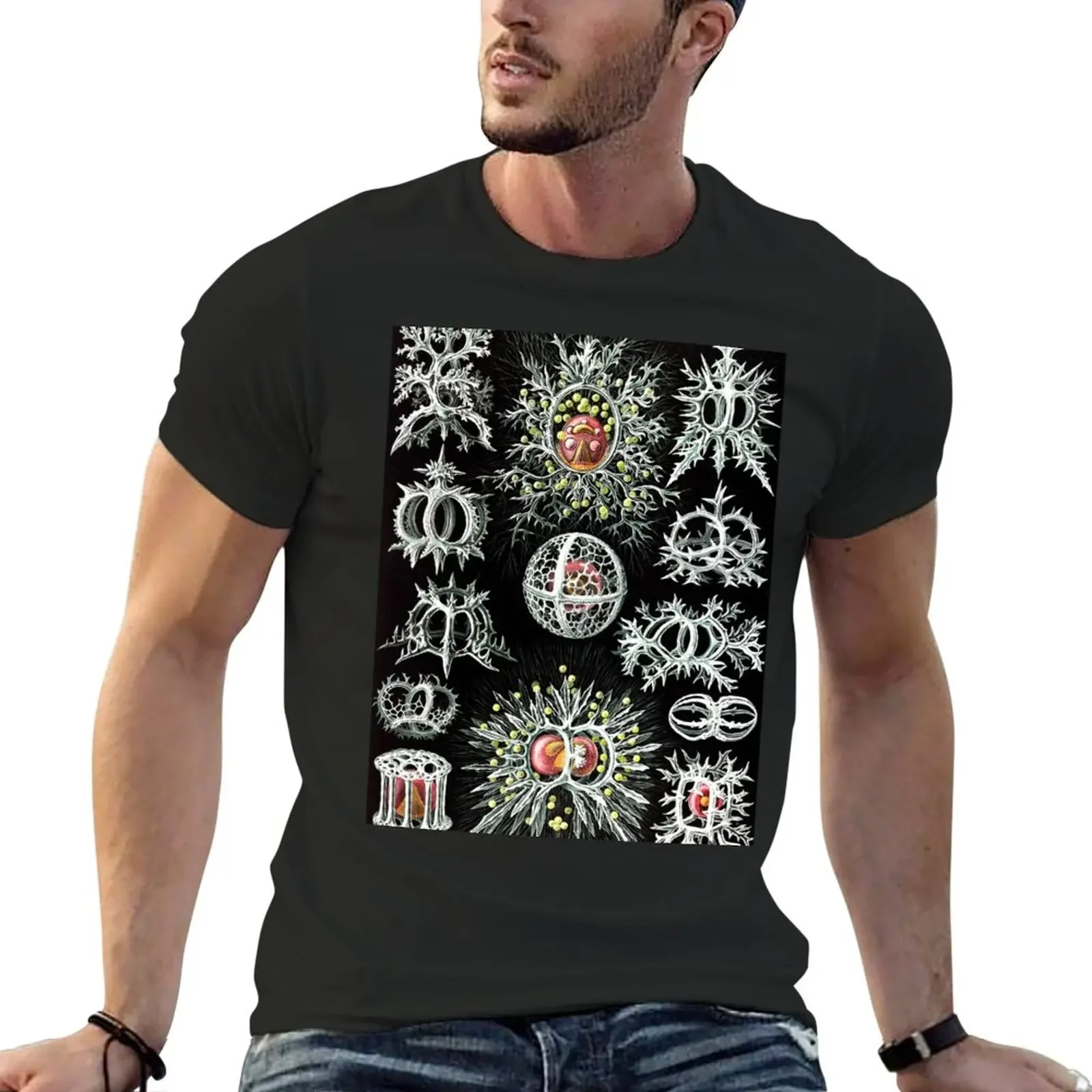 T-shirt artystyczny w przyrodzie-Stephoidea by Ernst Haeckel szybkoschnące bluzki męskie zwykłe t-shirty