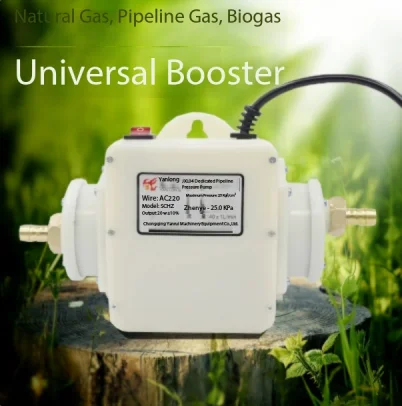 LW06-80w commercial air pump metal shell natural air pump restaurant pipeline gas booster 110L/min 50Kpa