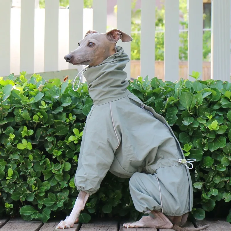 Abrigo verano impermeable ajustable para Galgos y Whippets grandes - imagen 5