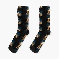 Stargazing Spinone Socks New year's Non-slip summer Socks Ladies Men's