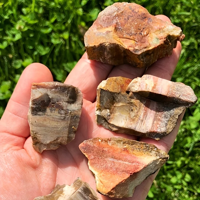 100g Natural Wooden Raw Stone – A natural fossilized display piece suitable for home or office décor.
