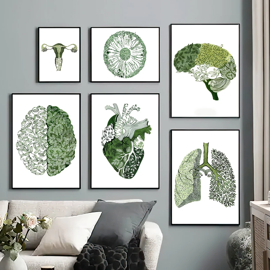 Green Abstract Medicine Anatomy Heart Lung Eye Nordic Posters And Prints Wall Art Canvas Painting Wall Pictures For Clinic Decor