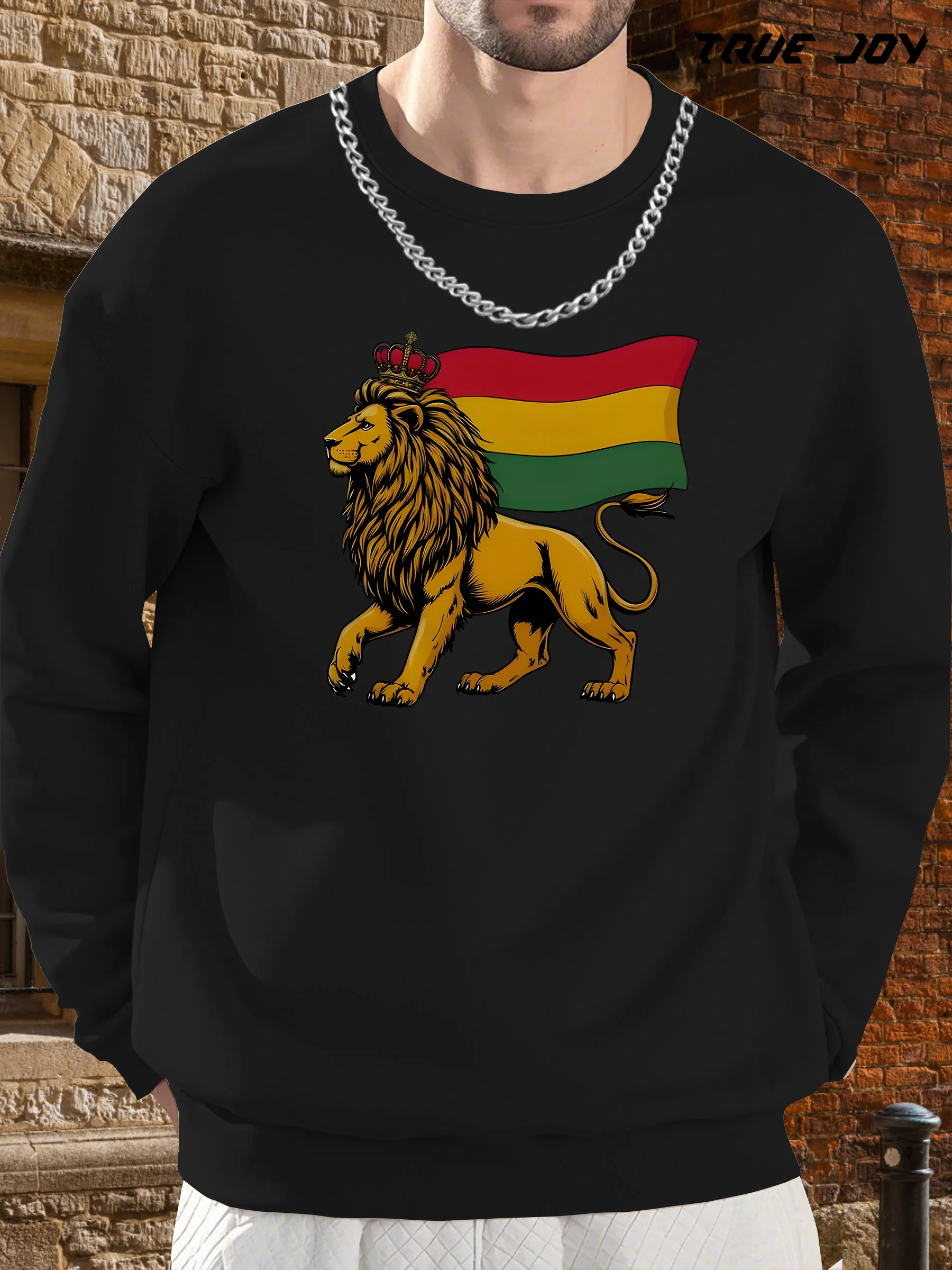 

Мужская толстовка с эмблемой льва — яркий желтый, зеленый и красный полосатый флаг, повседневный круглый вырез с длинными рукавами