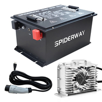 48V 105A LiFePO4 Lithium Golf Cart Battery 200A BMS Deep Cycle With Charging Gun