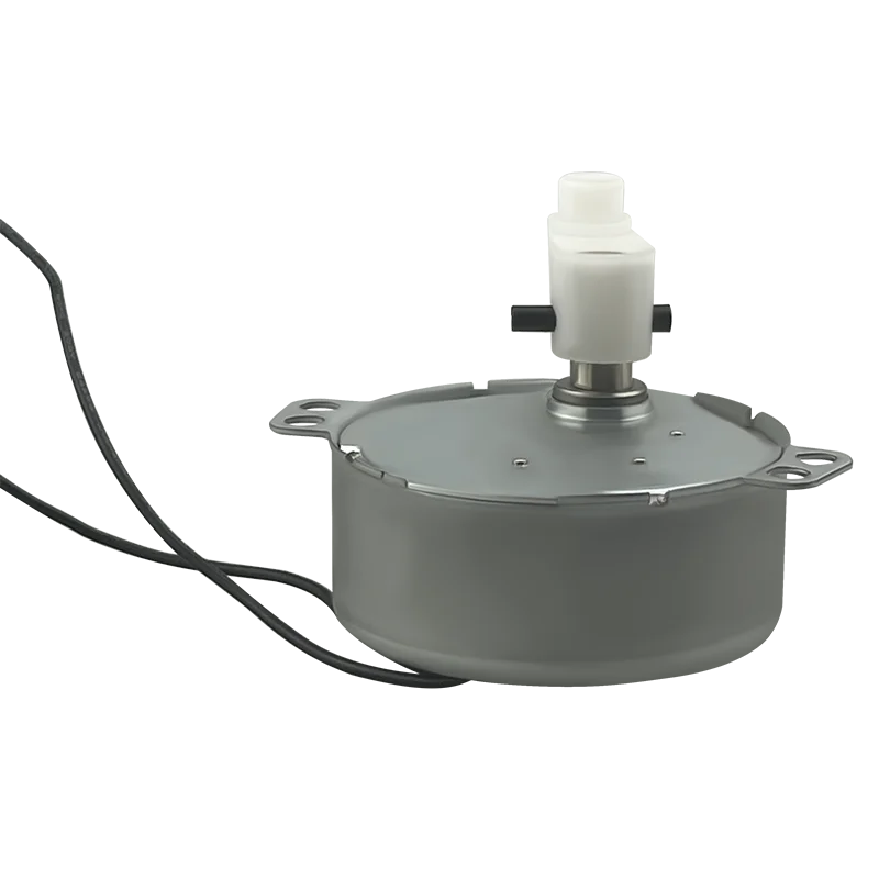 TYJ50-8 4W Permanent Magnet Synchronous Motor, Suitable for Midea Aimeite Fan Wind Guide Shaking Head Claw Pole Synchronous Moto