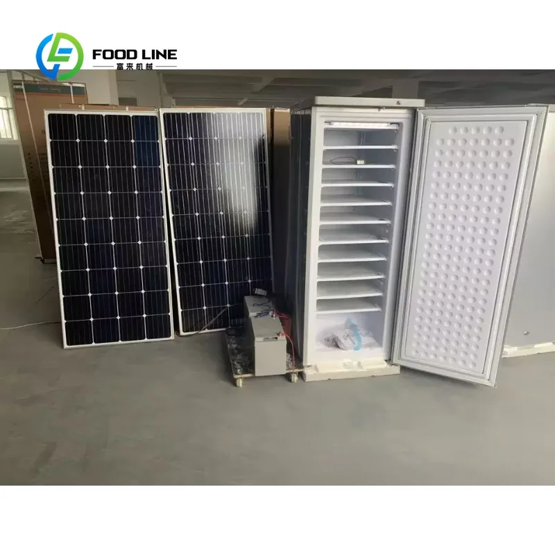 Customized Industrial/Commercial Solar Ice Block Machine, 198L 12/24V DC AC Powered Compressor Fridge Making 70kg Ice Every Day