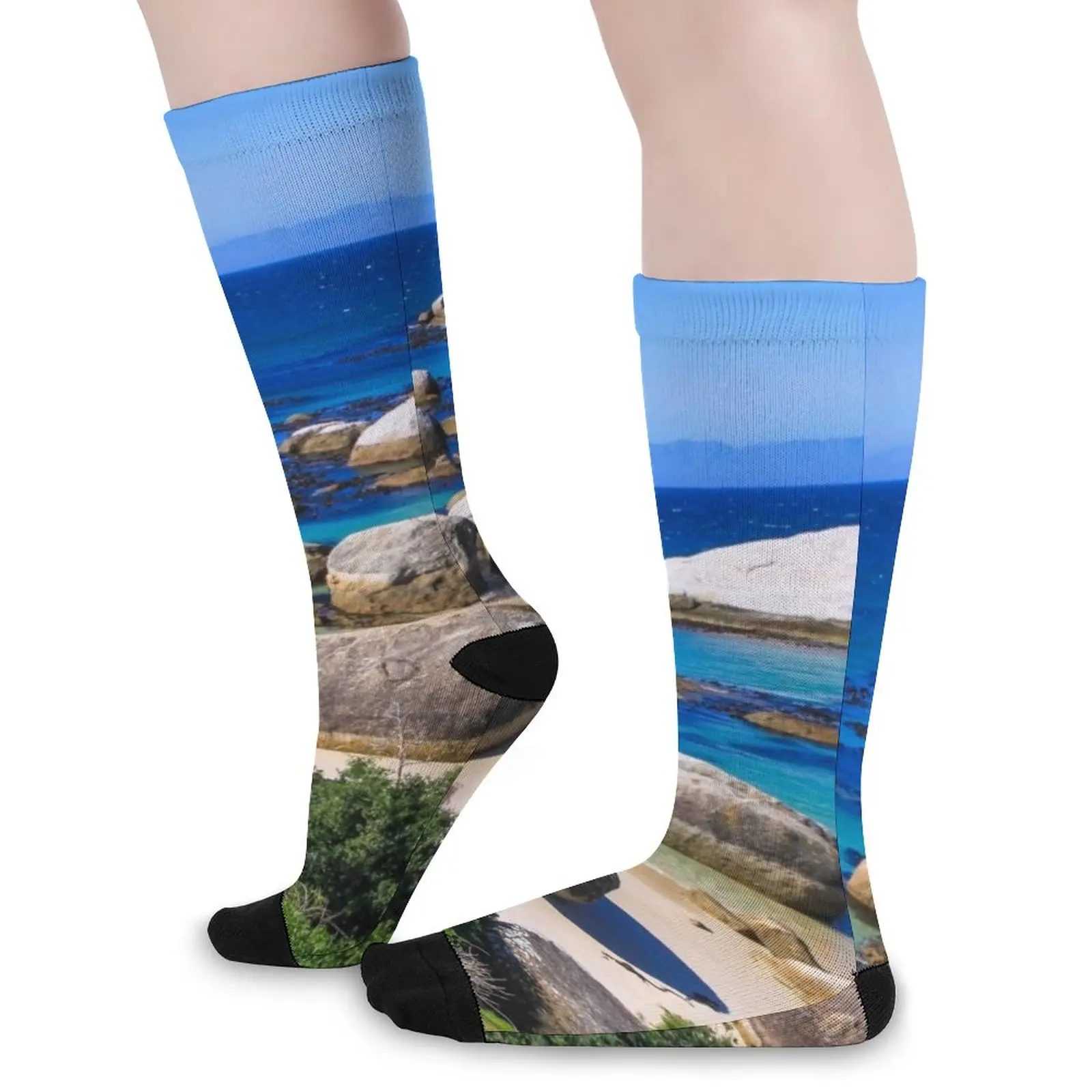 Boulders Beach, Cape Town, South Africa Socks sports socks woman Soccer gifts for men Cartoon characters socks