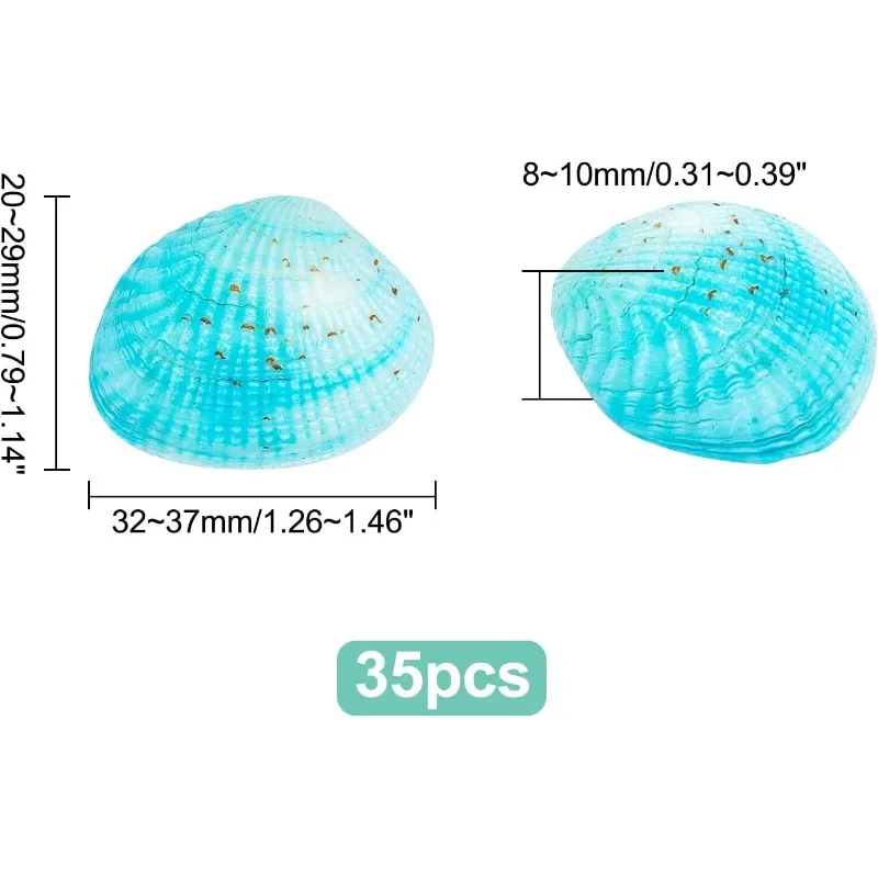 35pcs Blue Seashells 32~37mm Undrilled Dyed Scallop Sea Shell Blue Clam Beach Seashell for Jewelry Candle Making Home