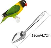 Bird Parrot Stainless Steel Metal Feeding Spoon,Special Feeding Scoop Medicine Spoons Hand Feeding Spoons for Peony Cockatiel