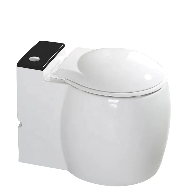 

Floor Electric Whirlpool Type Pumping Implement No Tank Ceramic Toilet