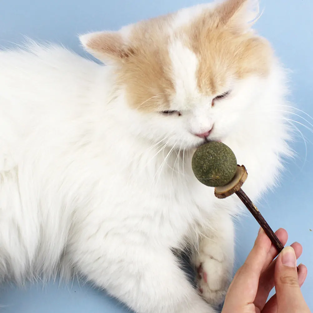 

3pcs Cat Teasing Bite Molar Chew Resistant Catnip Playthings Pet Dental Cleaning Sticks Durable Kitten Chew Wood Sticks For