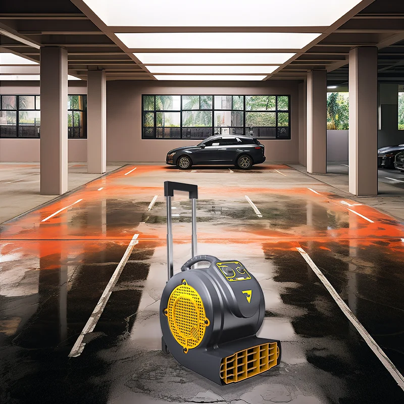 2025Essiccatore elettrico professionale per la pulizia dei tappeti per pavimenti bagnati di nuovo stile