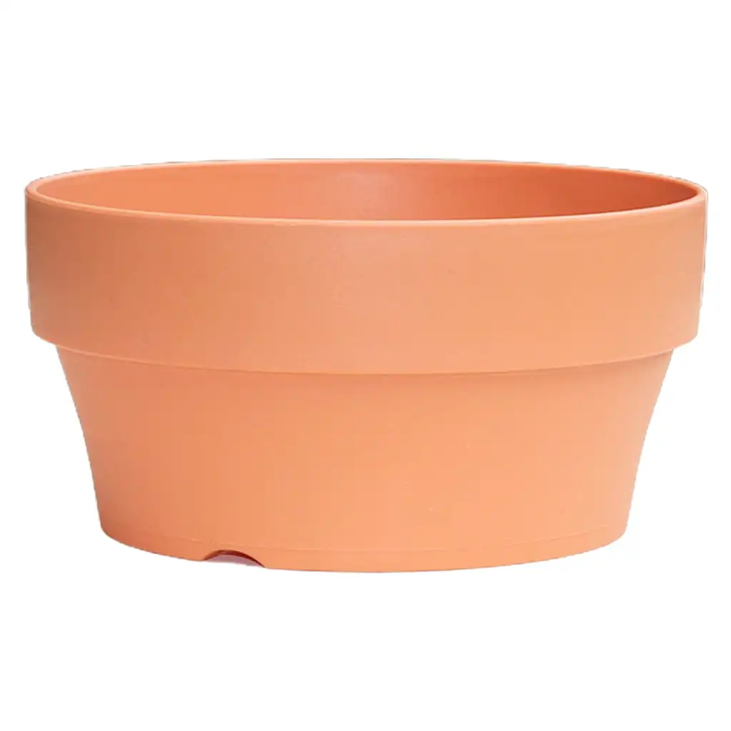 Imitation Terracotta Pot For Succulent Planter With Hole Cactus Small Ceramic Flower Resin Flower for Indoor Plants 4 with Trays