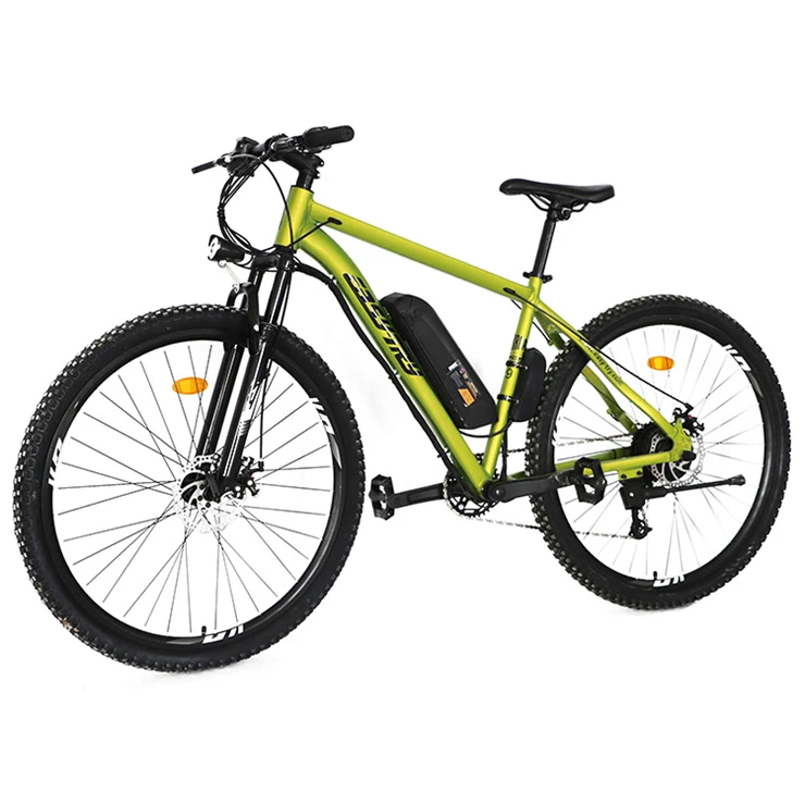 

250W 26-Inch Electric Mountain Bicycle with Rear Hub Motor Disc Brake System Steel Frame for Adults