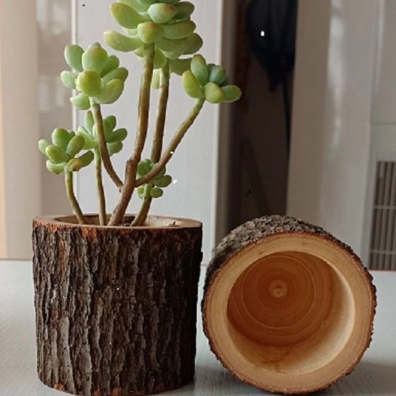 

Original Wood Flower Pots, Flower Pots, Unique Flower Pot Shapes, and Creative Personality of Multi fleshy Flower Pots