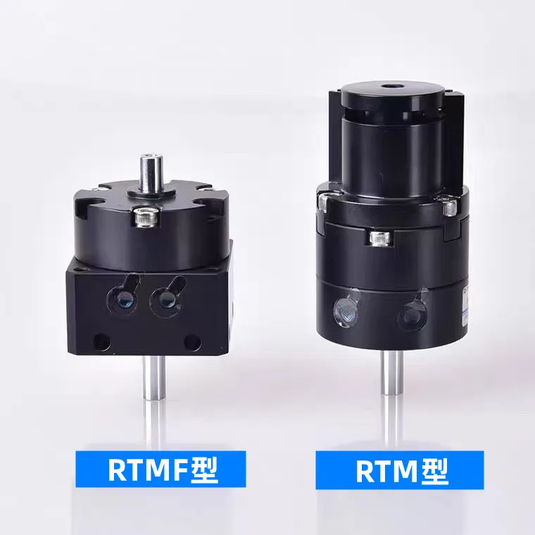 Pneumatic adjustable blade rotary cylinder RTM RTMF 10 * 15 * 20 * 30 * 40X90X180X270-L-C2-S