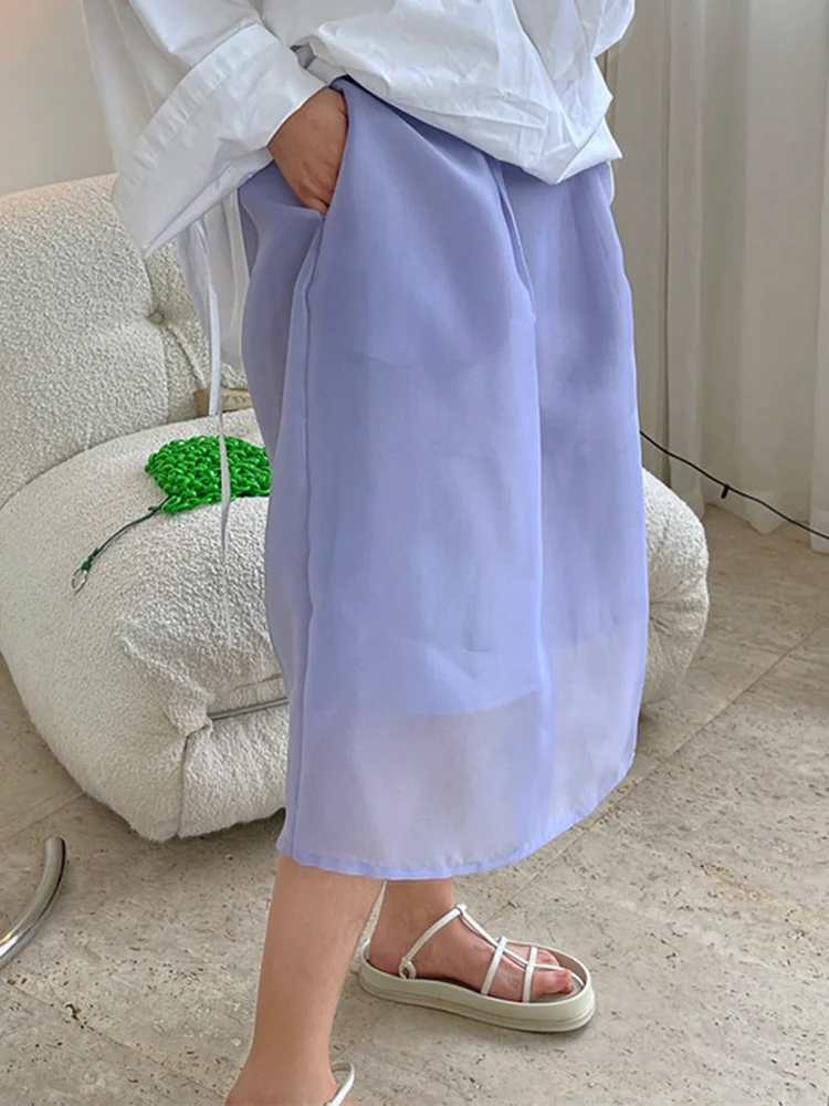 High Waist Purple Organza Spliced Casual All Gown Half-body Skirt Women Fashion Tide New Spring Autumn 2023  M557