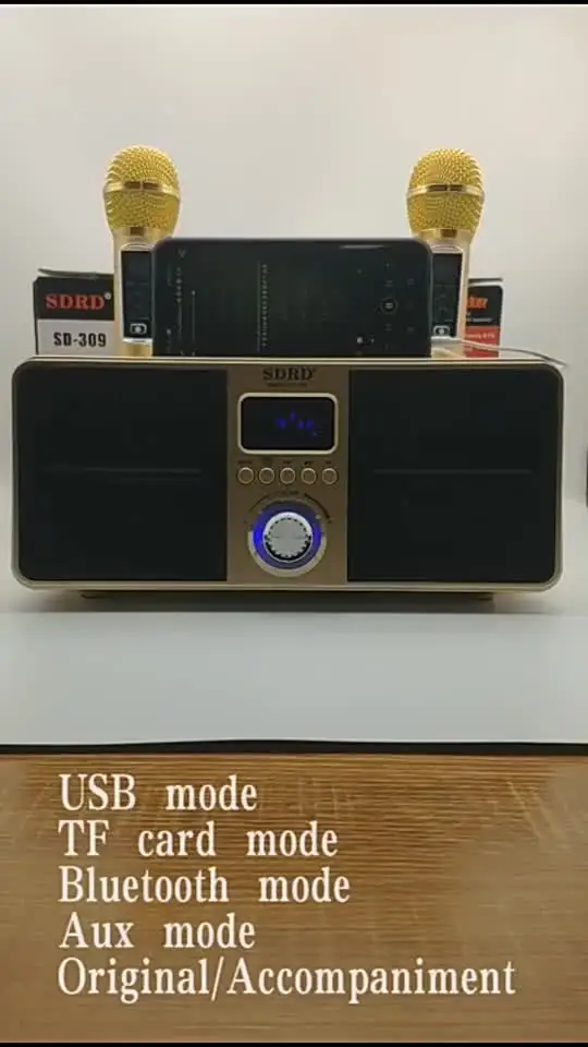 SD-309 2-in-1 Bluetooth Karaoke Speaker 30W
