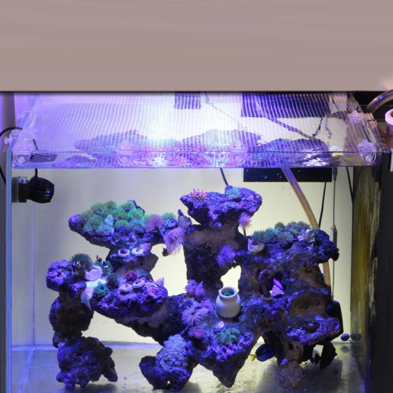 Thumbnail 3 - #25 Best Aquarium Fish Nets to Buy In 2026