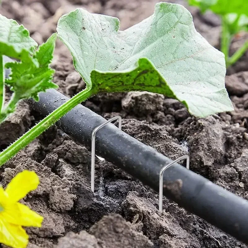 10/50 قطعة U-نوع المشهد ستابلز حديقة حصص Sod دبابيس مكافحة الصدأ سياج حصص تأمين أوتاد لحاجز أنابيب خرطوم الاعشاب #2