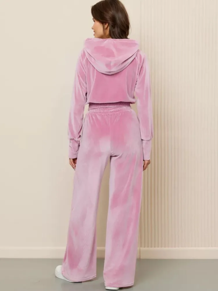 Mode casual damespak herfst winter tweedelige set lange mouw effen kleur fluwelen sweatshirt met capuchon en broek sportoutfits