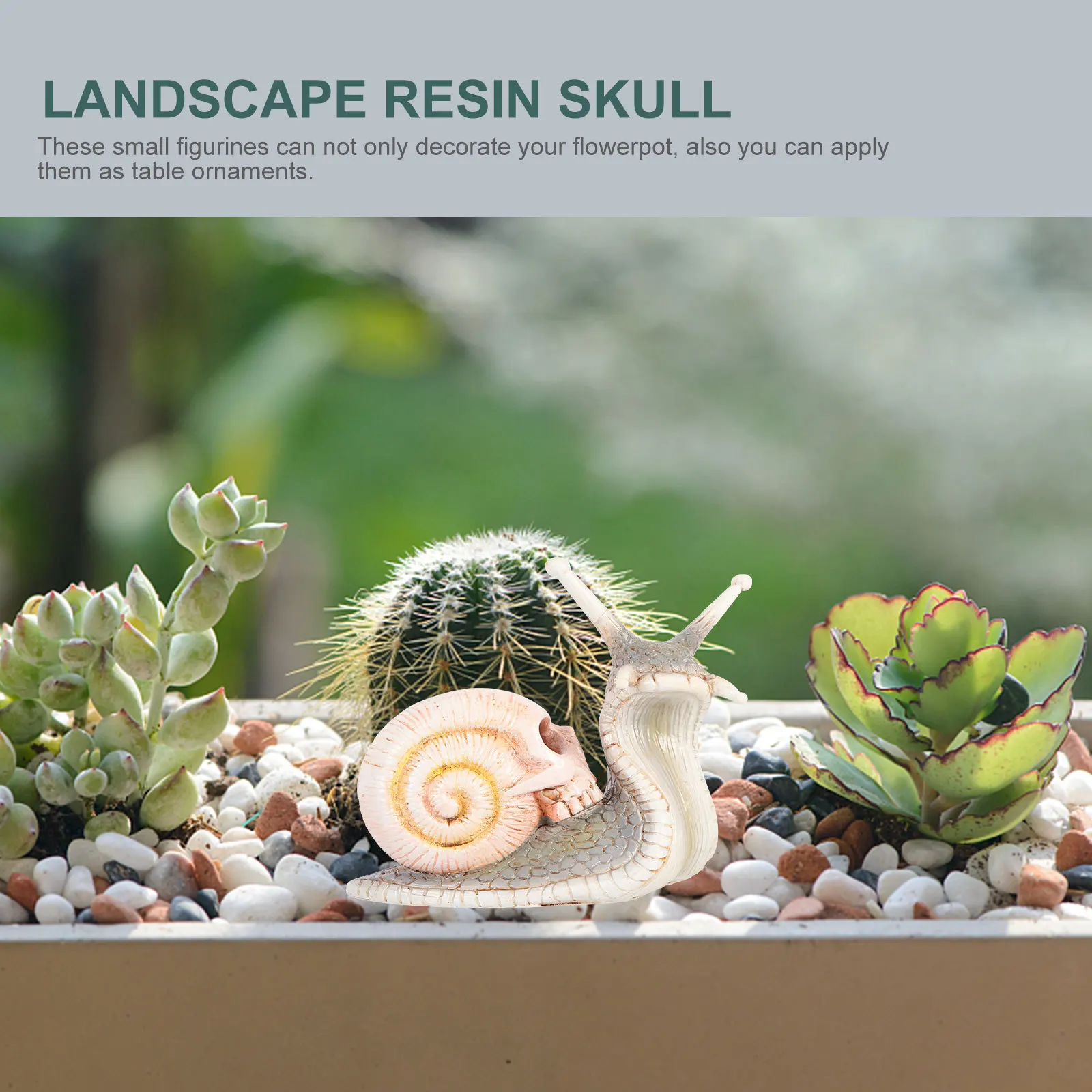 Resina premium micro crânio caracol ornamento halloween paisagem decoração para planta pote mesa superior diy artesanato cena layout jardim