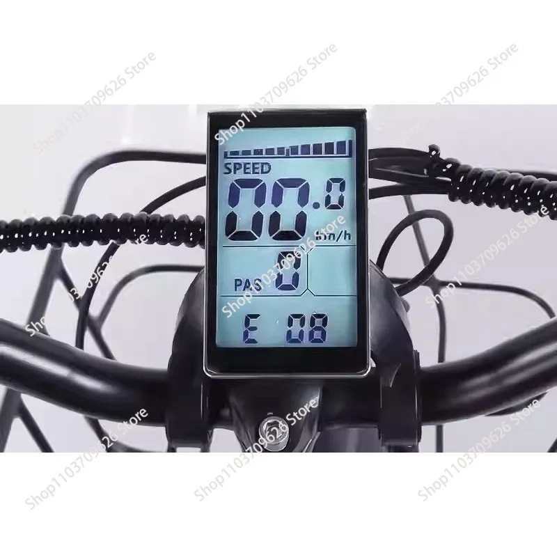 High Power Long Range  3 Wheel  Trike Adults Sand and Snow Fat Tire Electric Delivery Tricycle