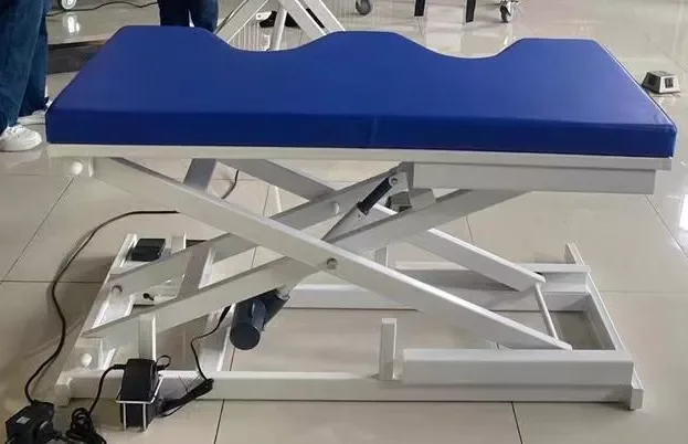 Kanistar Veterinary Fluoroscopy Equipment Fluoroscopy In Veterinary Medicine Fluroscopy Animal Operation Table