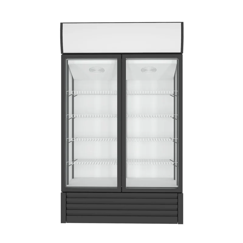 Factory Sale Dynamic Cooling Double Glass Doors Supermarket Vertical Upright Beverage Air Cooling Soda Beer Display Freezer