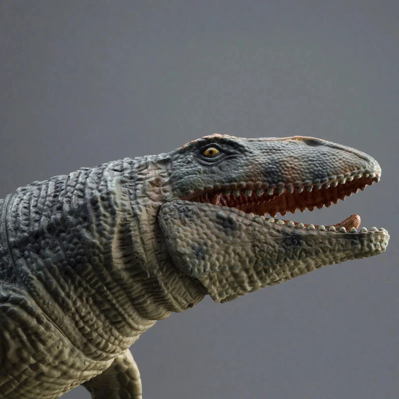 

Большая имитационная фигурка мозазавра-прогнатодона PROG, игрушка-фигурка морского животного Юрского периода, коллекционная модель для научно-образовательных целей, украшение, подарок