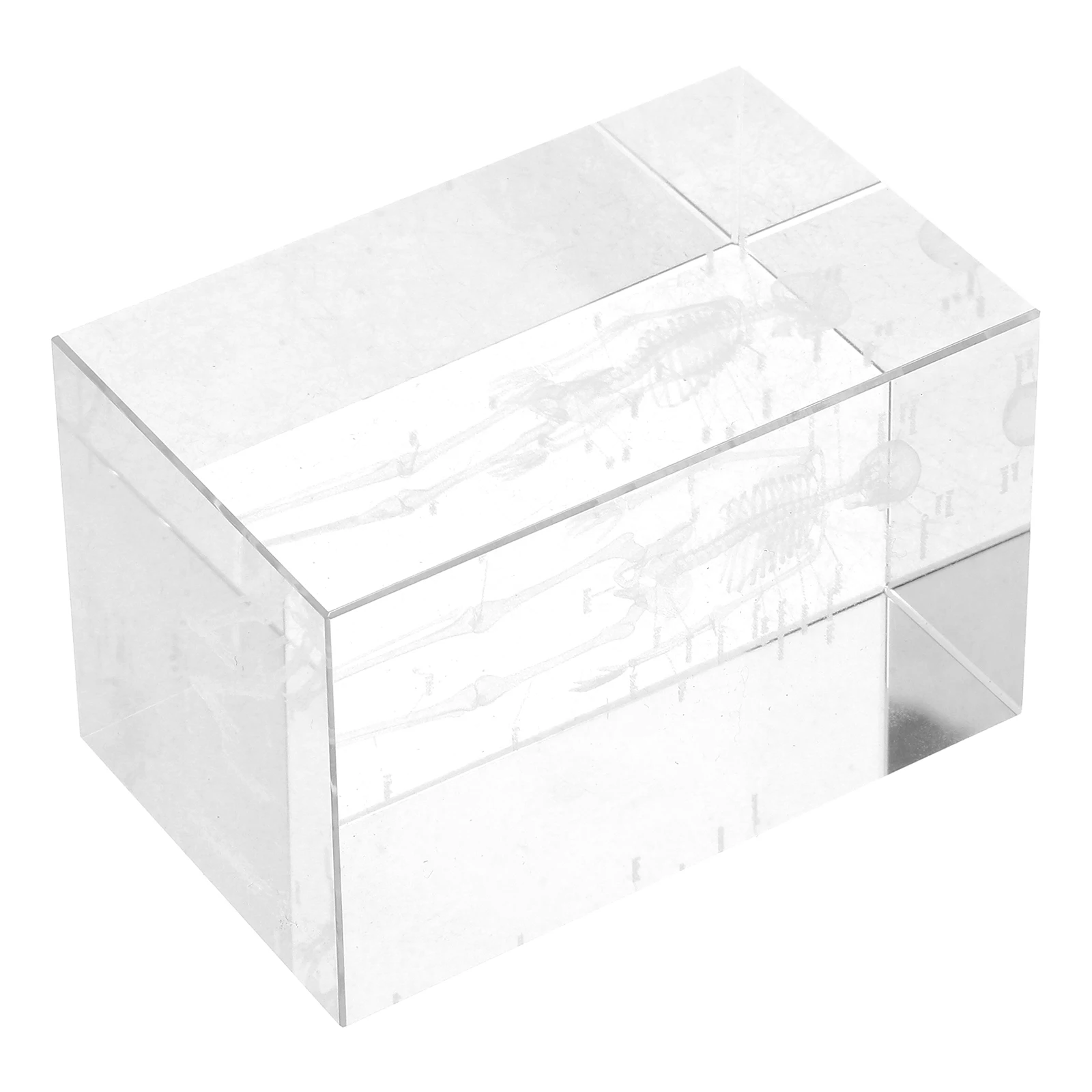 

Crystal Human Anatomy 3D Internal Engraving Educational Science Decor For Medical Teaching Office Home Display