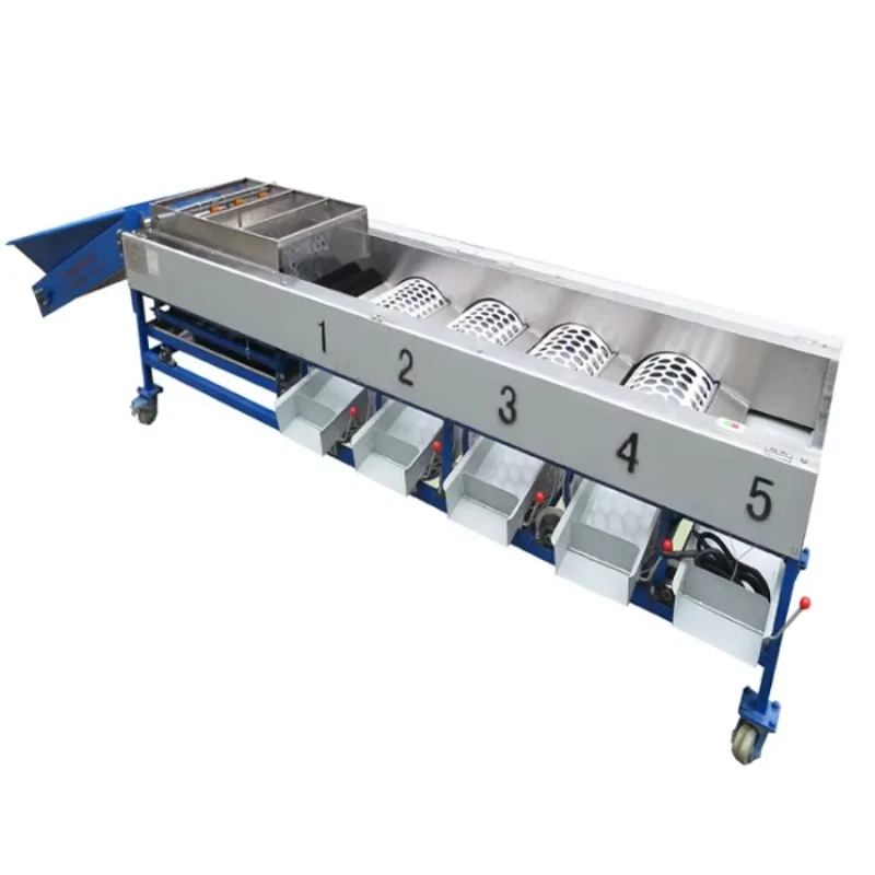 New Type Sorting Fruit Machine Small Fruit Sorting Machine
