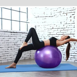 Sports Yoga Balls Pilates Fitness Ball Gym Balance Exercise Pilates Workout Home Training Massage Explosion-proof Ball 45cm