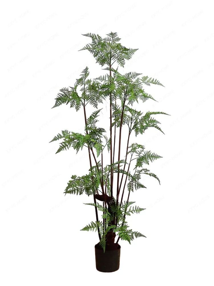 Simulation Adiantum Indoor and Outdoor Landscape Green Plant Landscape Decoration Fern Pot