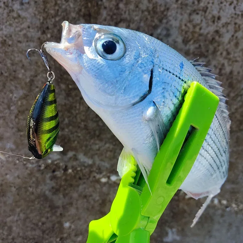 TSURINOYA 50F Crankbait Fishing Lure Magician 50mm 8.5g Shallow Range Floating Crank Artificial Hard Basts Pike Bass Model