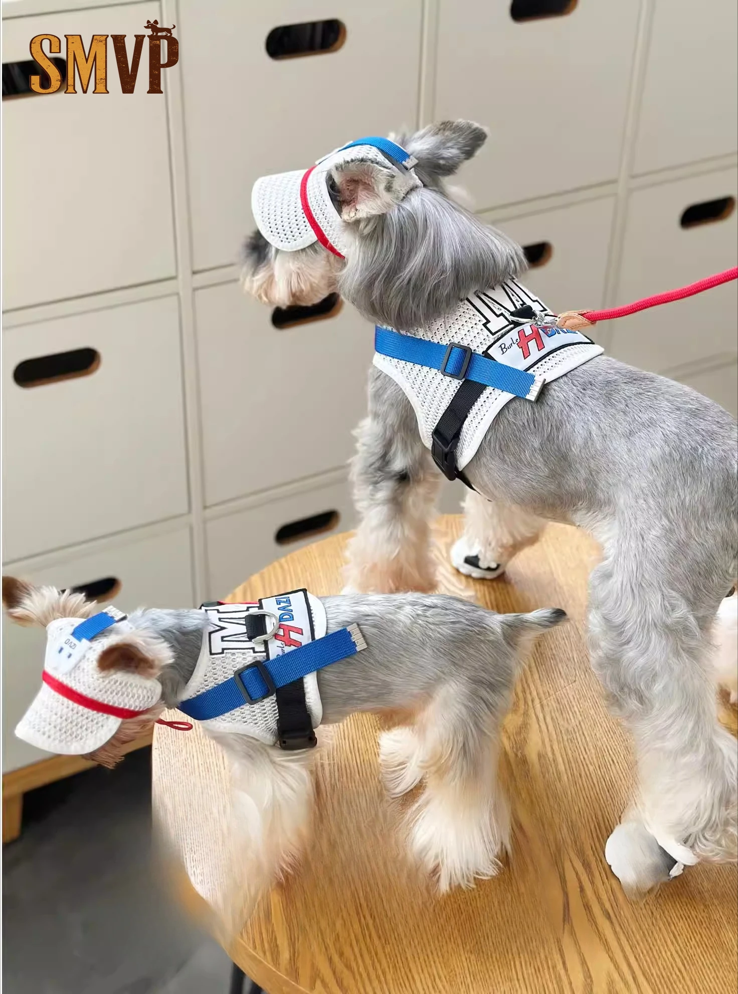 

Summer Mesh Breathable White Sea Breeze Handsome Racer Style Outing Pet Harness Includes Leash and Hat Not Included