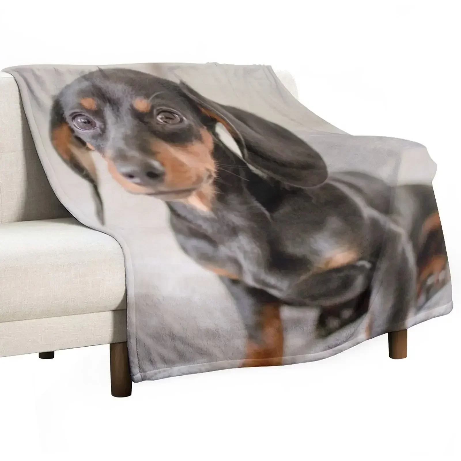 

Dachshund Throw Blanket heavy to sleep cosplay anime Blankets