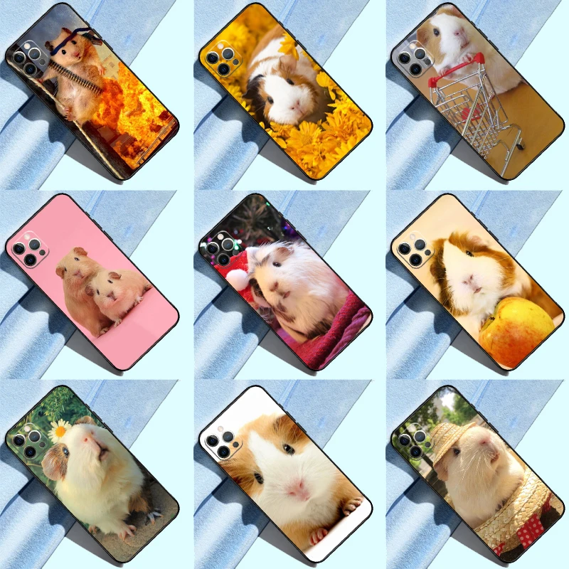 Squirrel Guinea Pig… - image