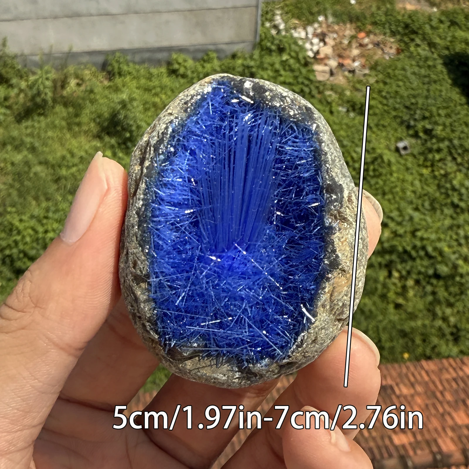 1 قطعة عينة الكهف المعدنية، كريستال على شكل إبرة زرقاء - عمل فني جمالي طبيعي أنيق، هيكل عالي الجودة،