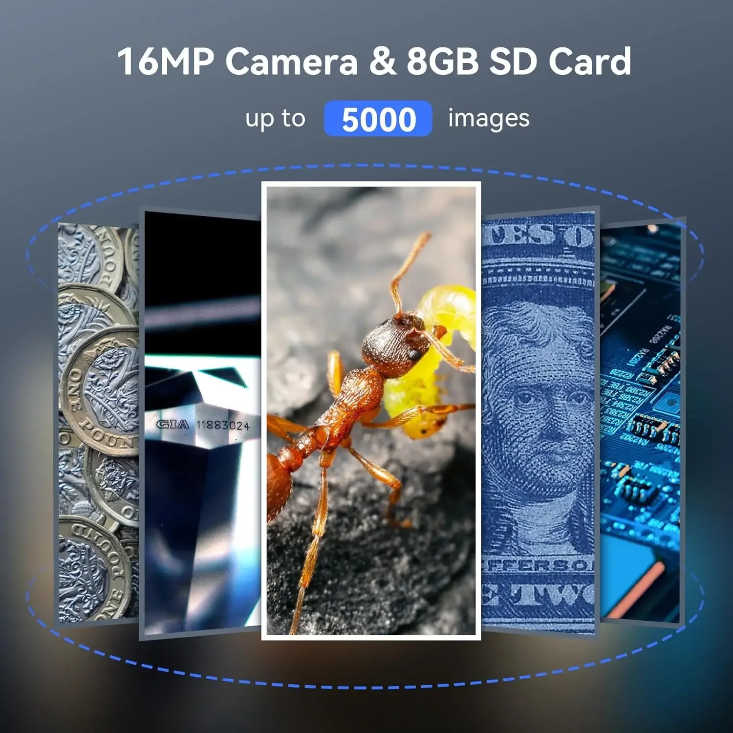 P10 2 بوصة LCD مجهر رقمي 100X جيب عدسة مكبرة مع ضوء يده عملة المكبر لهواة الجمع