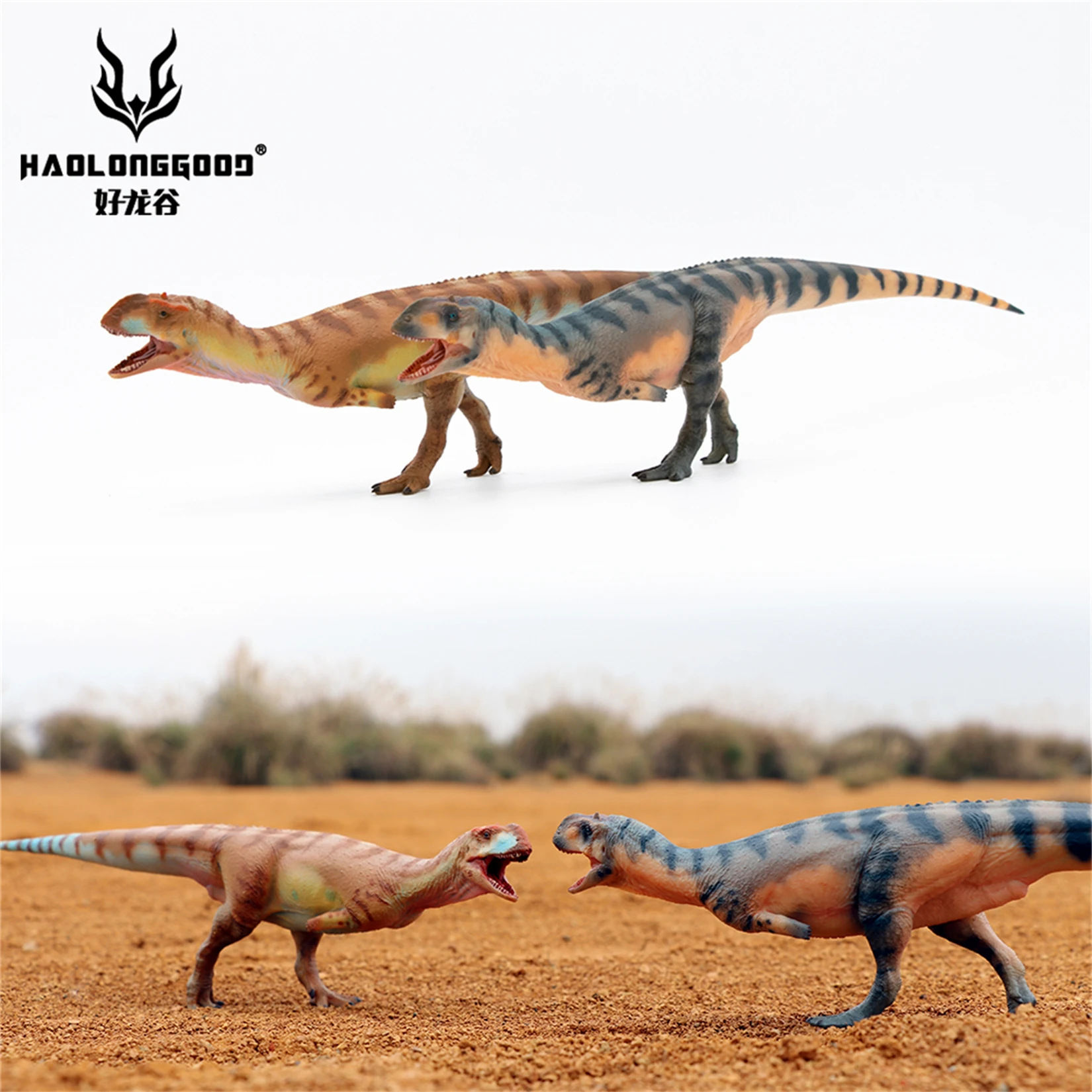 HAOLONGGOOD 1:35 Majungasaurus Modello Abelisauridae Dinosauro Animale Figura Collezione Decorazione Scena Regalo Di Compleanno