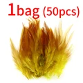 50pcs yellow brown